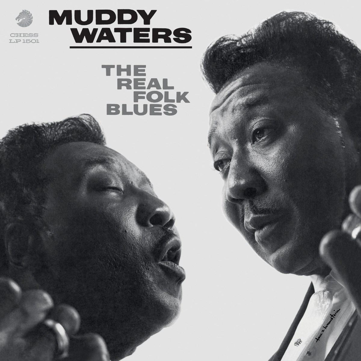 Afbeelding van Muddy Waters - The Real Folk Blues