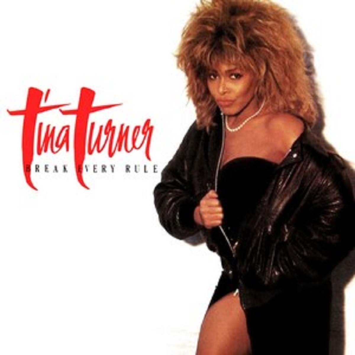 Afbeelding van Tina Turner - Break Every Rule