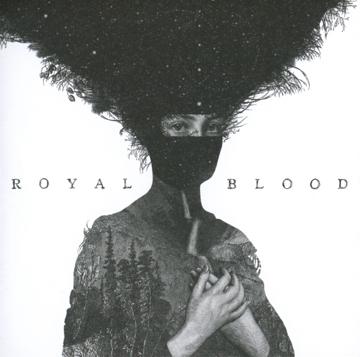 Afbeelding van Royal Blood