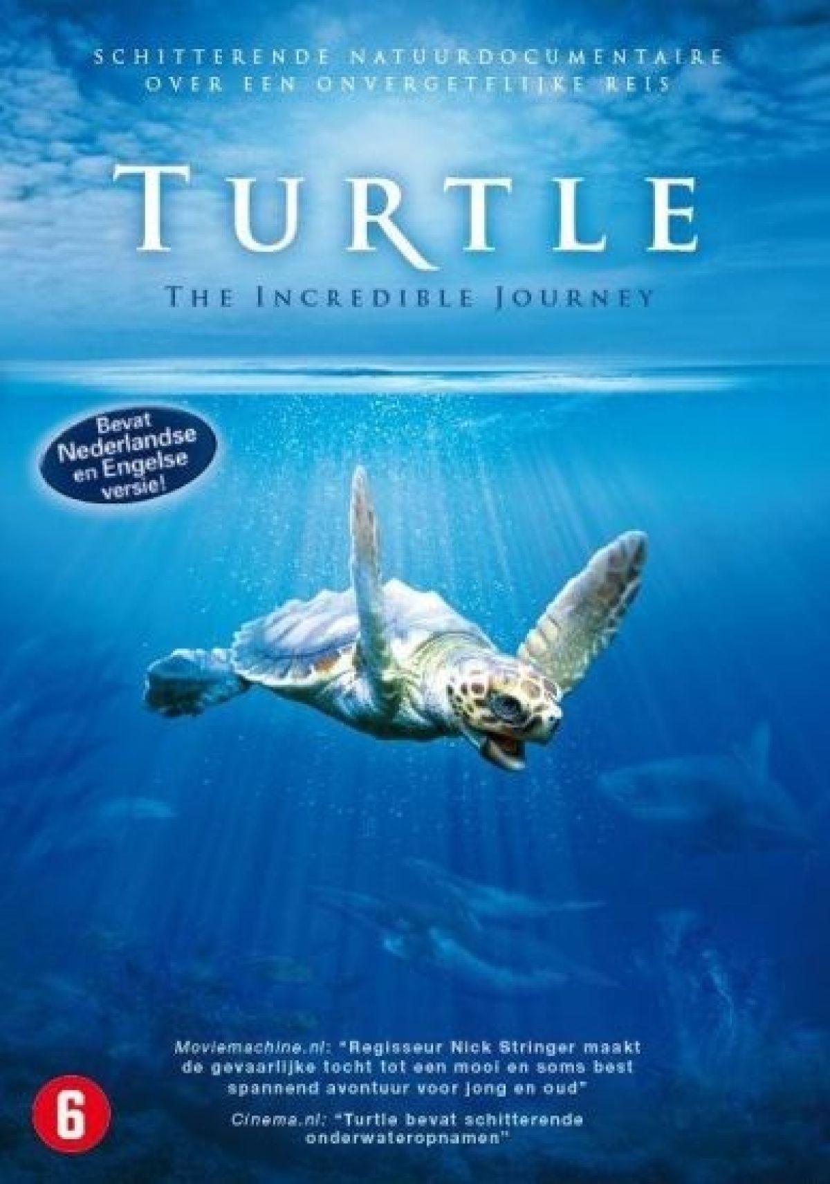 Afbeelding van Turtle - The incredible journey