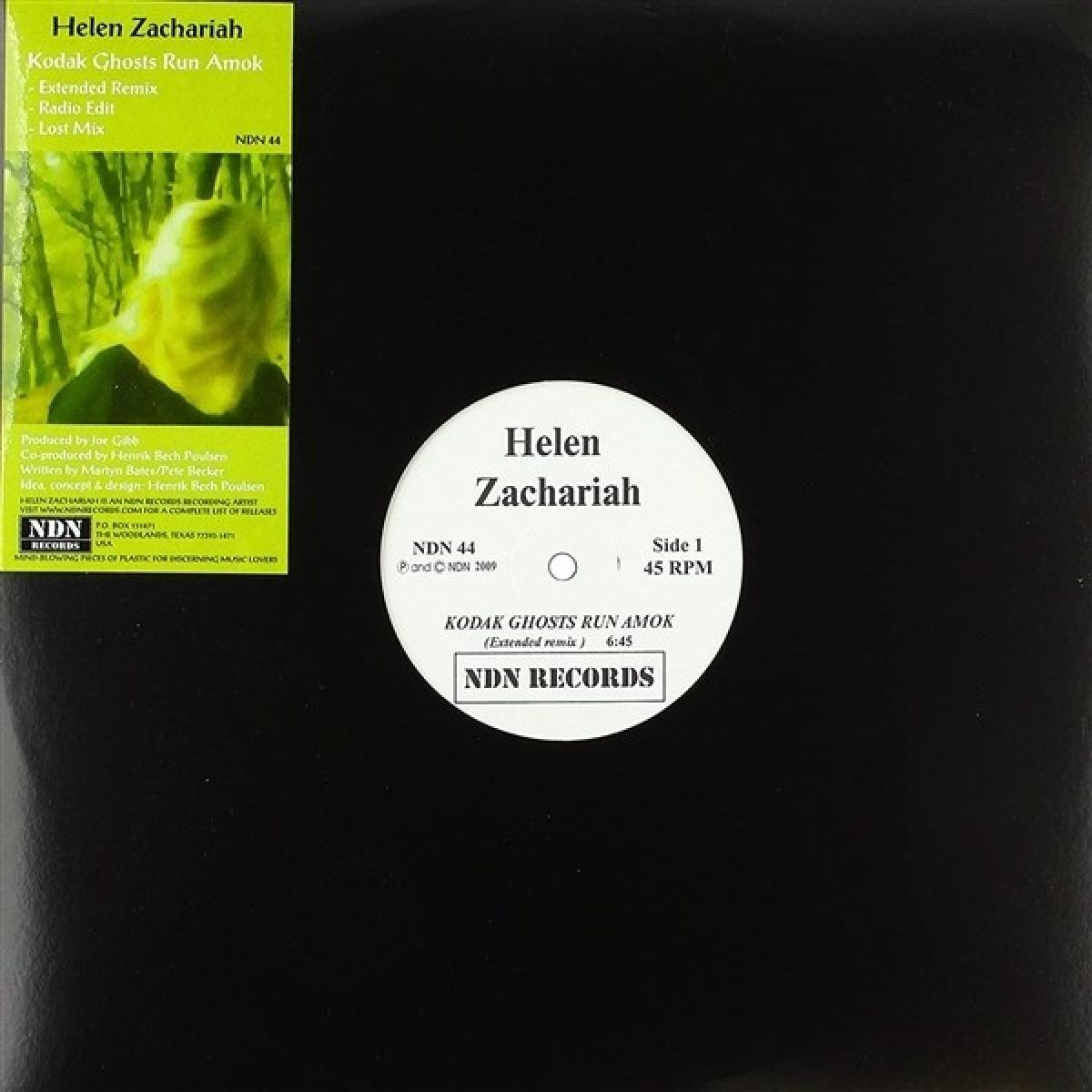 Helen Zachariah - Kodak Ghosts Run Amok
