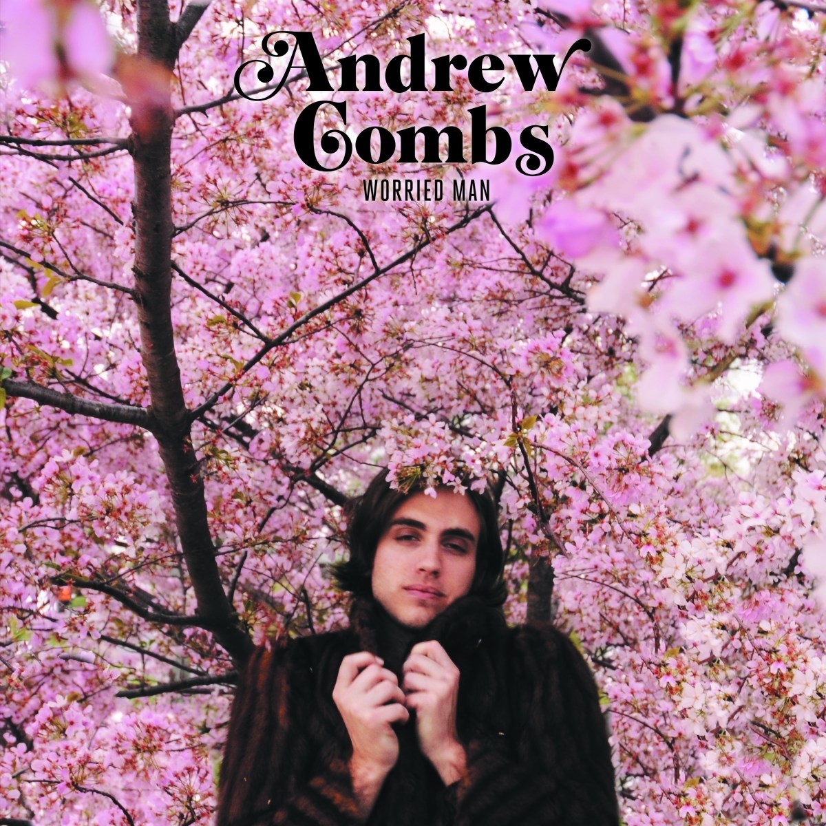 Afbeelding van Andrew Combs - Worried Man