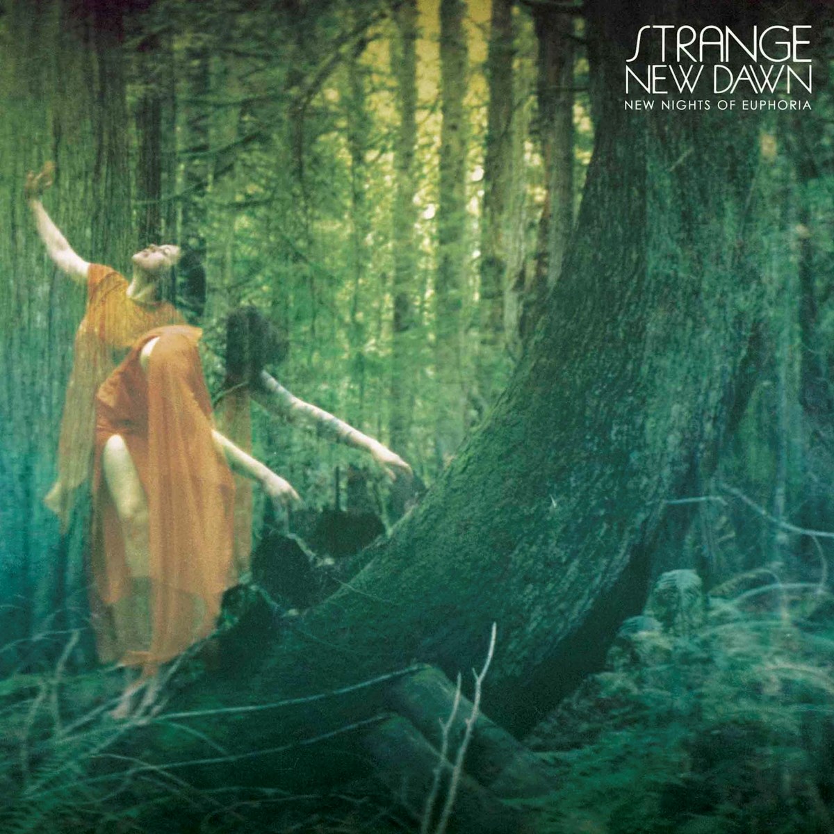 Afbeelding van Strange New Dawn - New Nights Of Euphoria