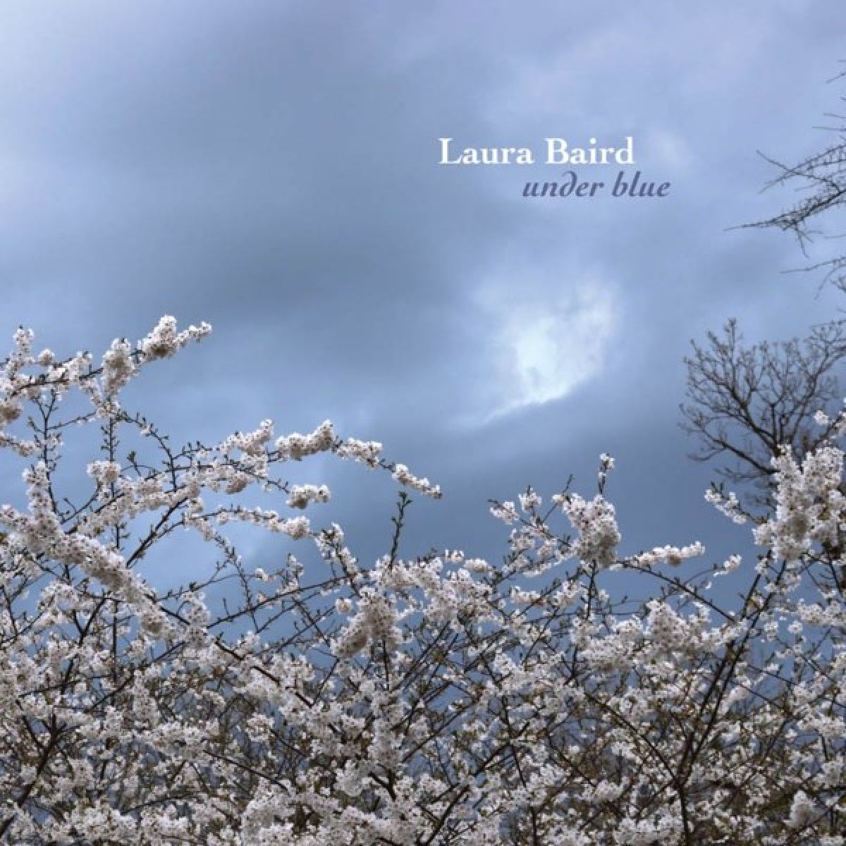 Afbeelding van Laura Baird - Under Blue