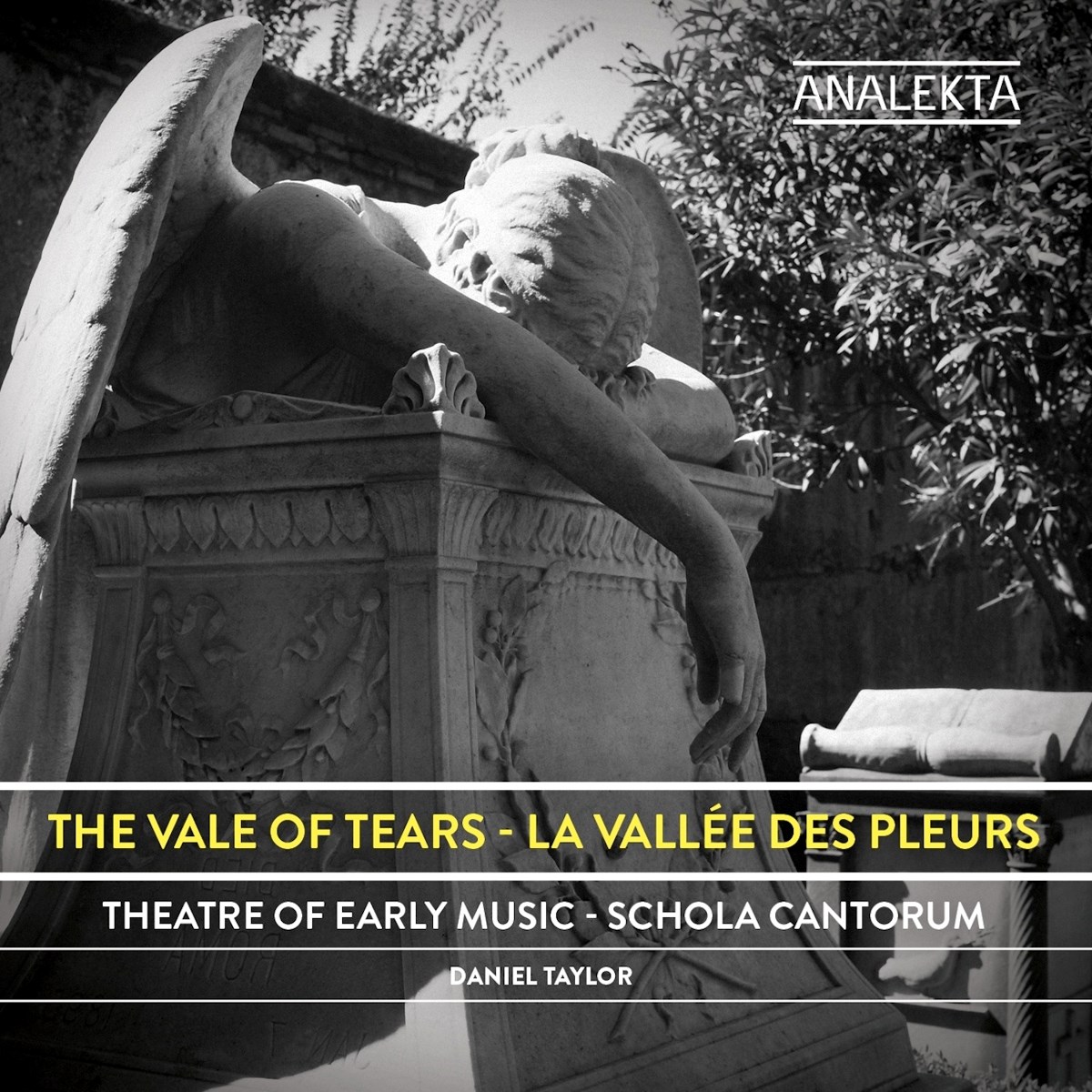 Afbeelding van Theatre of Early Music, Schola Cantorum, Daniel Taylor - The Vale Of Tears