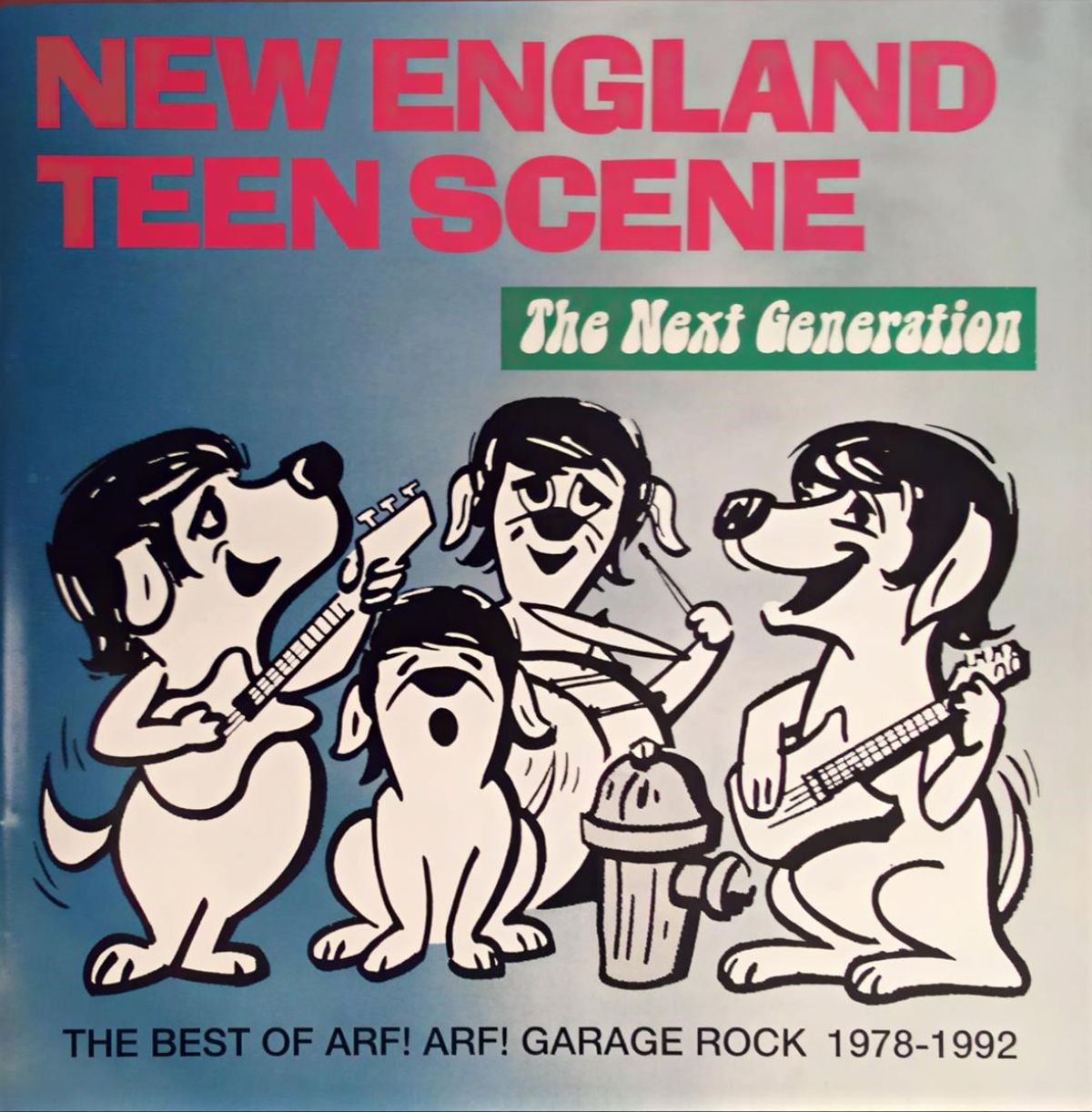 Various Artists - New England Teen Scene: Next Generation