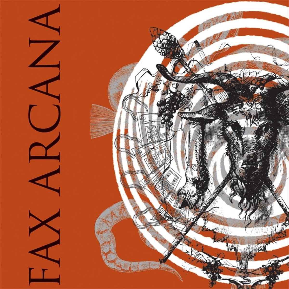 Afbeelding van Fax Arcana - Unorthodox Practices For Modern