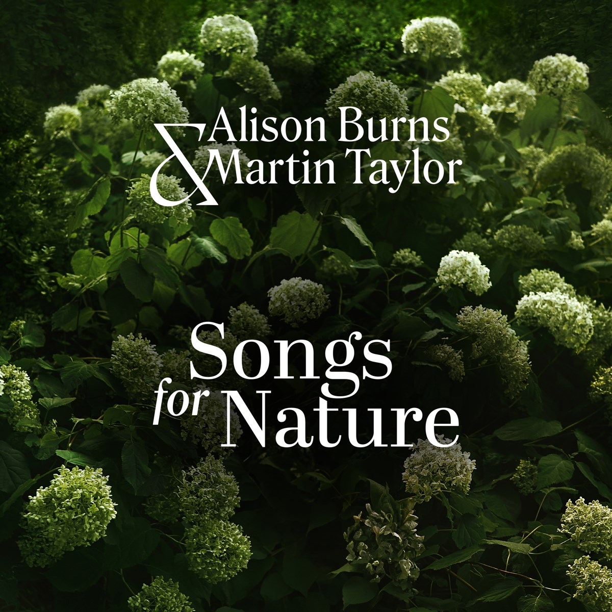 Alison Burns & Martin Taylor - Songs For Nature