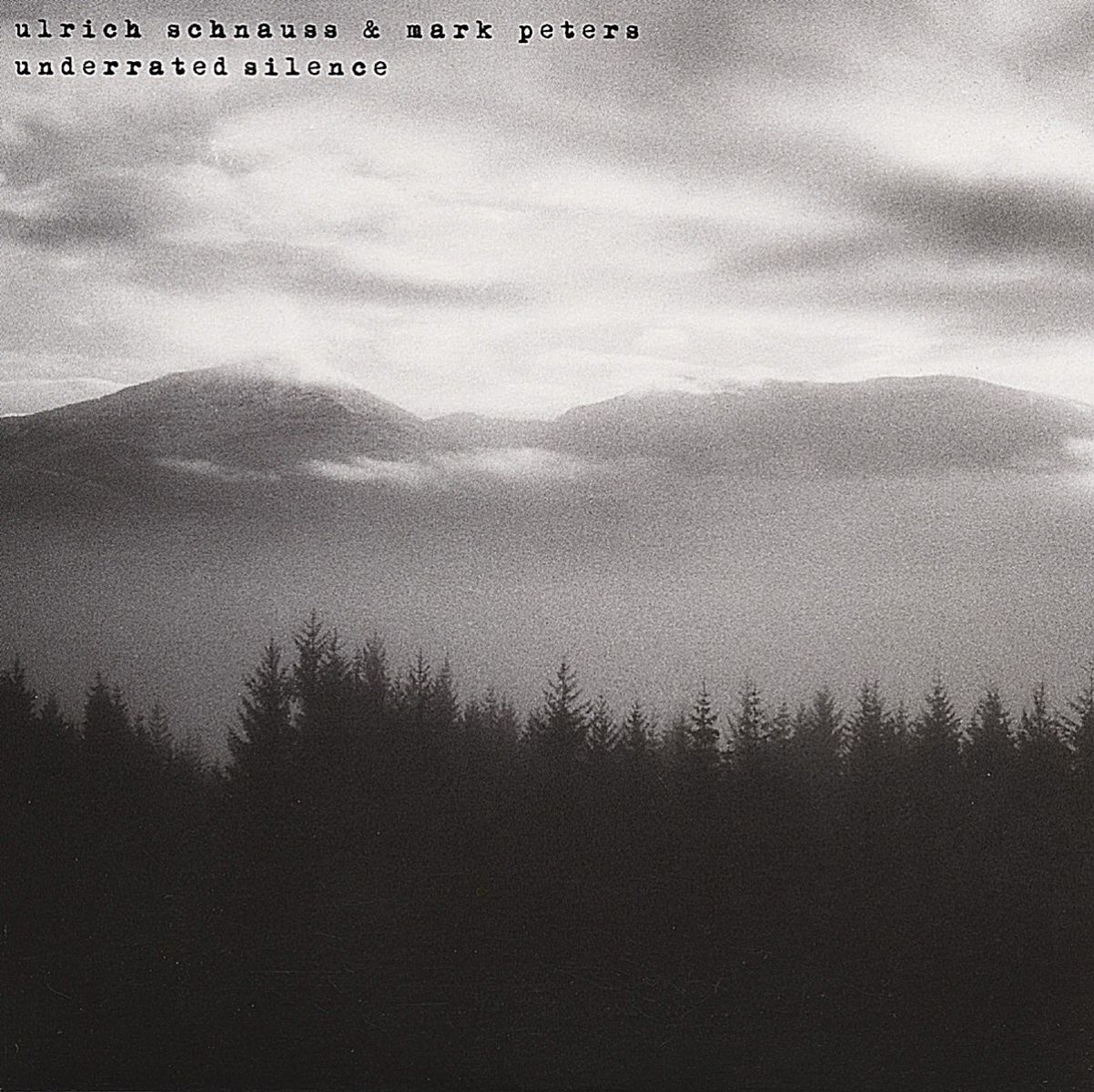 Afbeelding van Underrated Silence