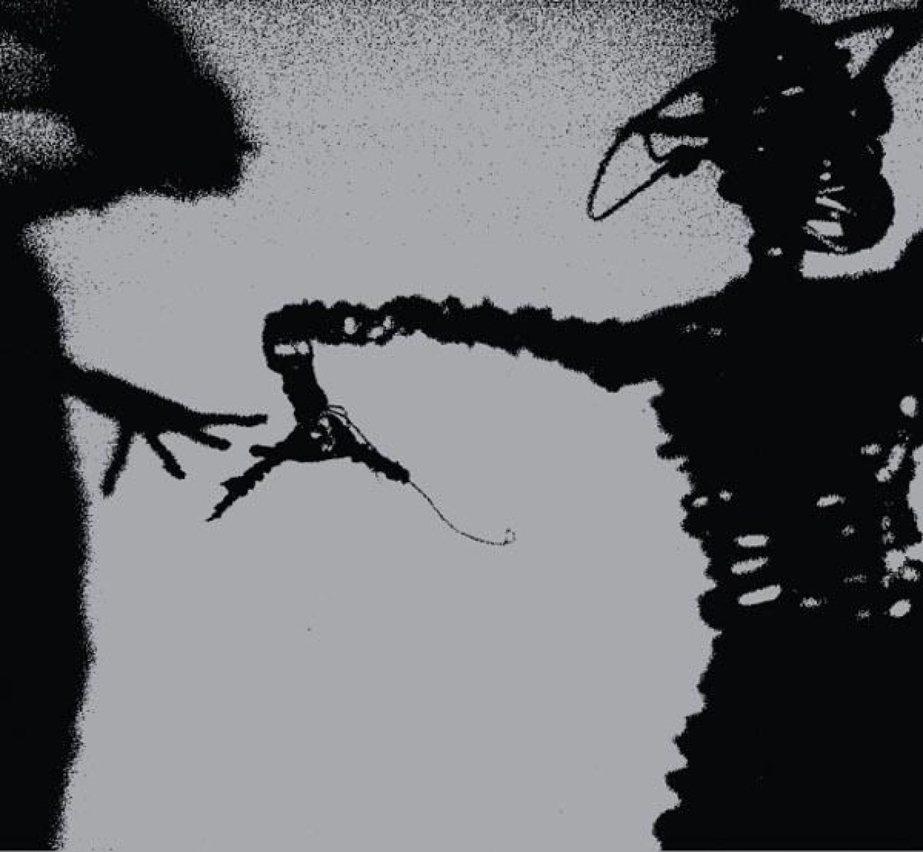 Afbeelding van Twilight Singers - Dynamite Steps