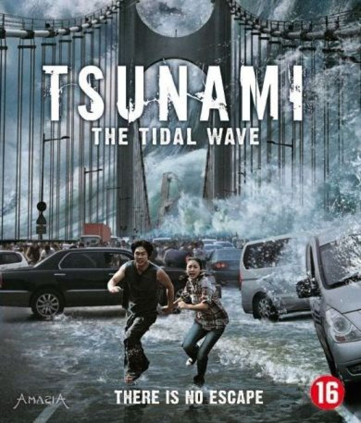 Afbeelding van Tsunami - The tidal wave