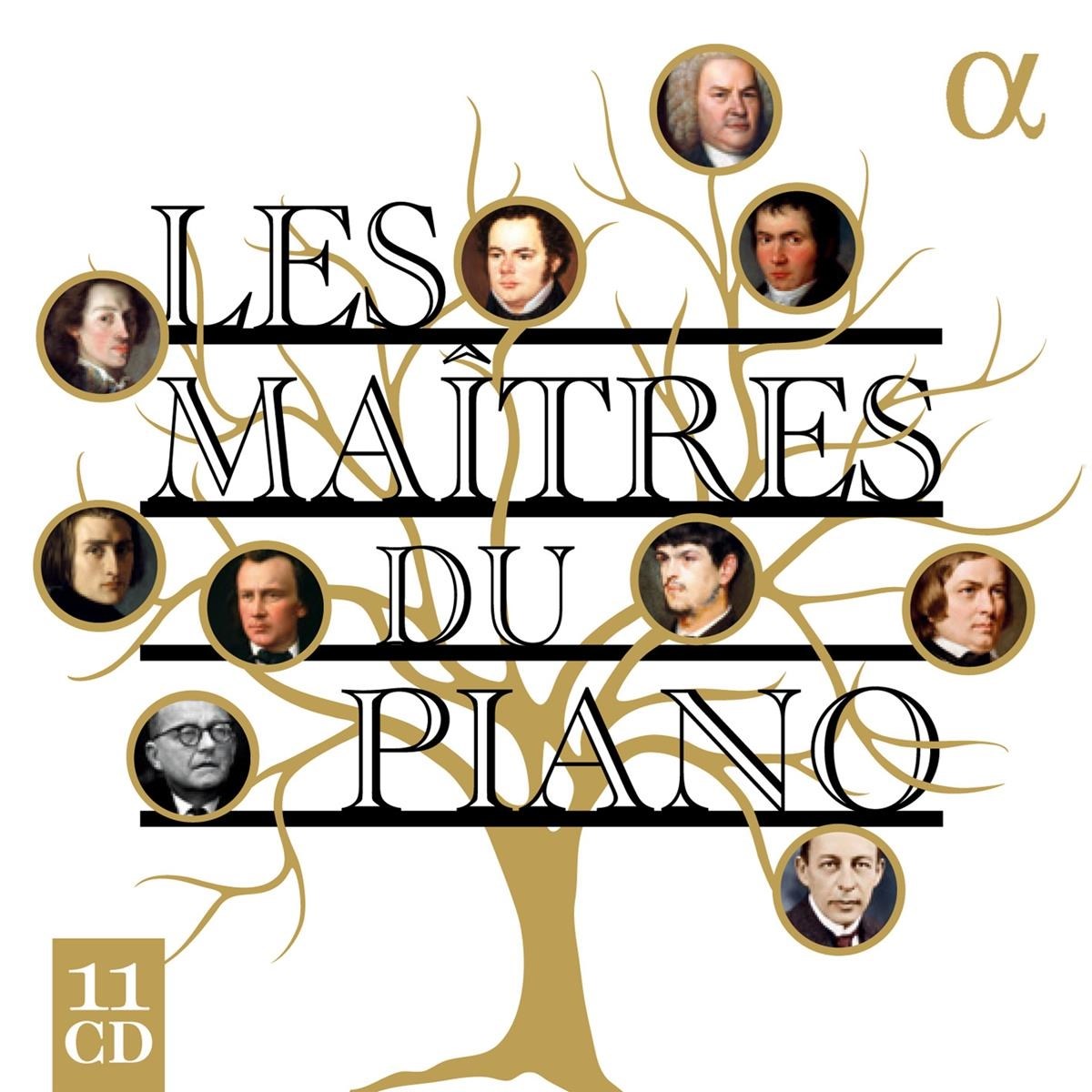 Afbeelding van Various Artists - Les Maîtres Du Piano