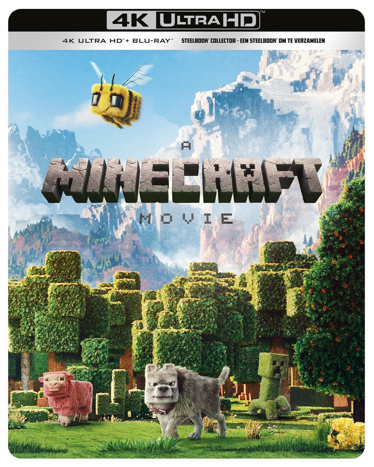 Afbeelding van A Minecraft Movie