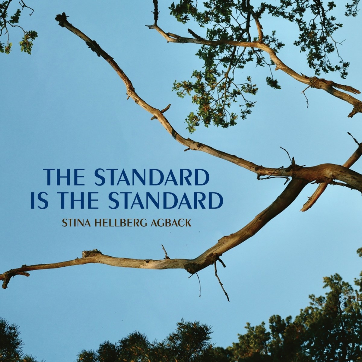 Afbeelding van Stina Hellberg Agback - The Standard Is The Standard