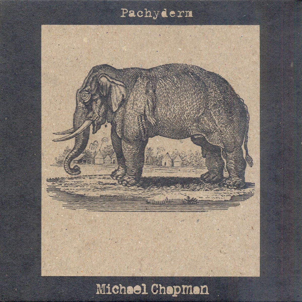 Afbeelding van Michael Chapman - Pachyderm