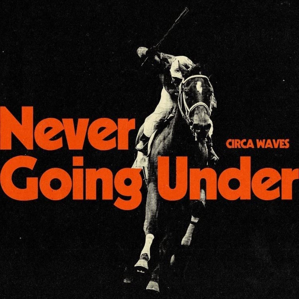 Afbeelding van Circa Waves - Never Going Under