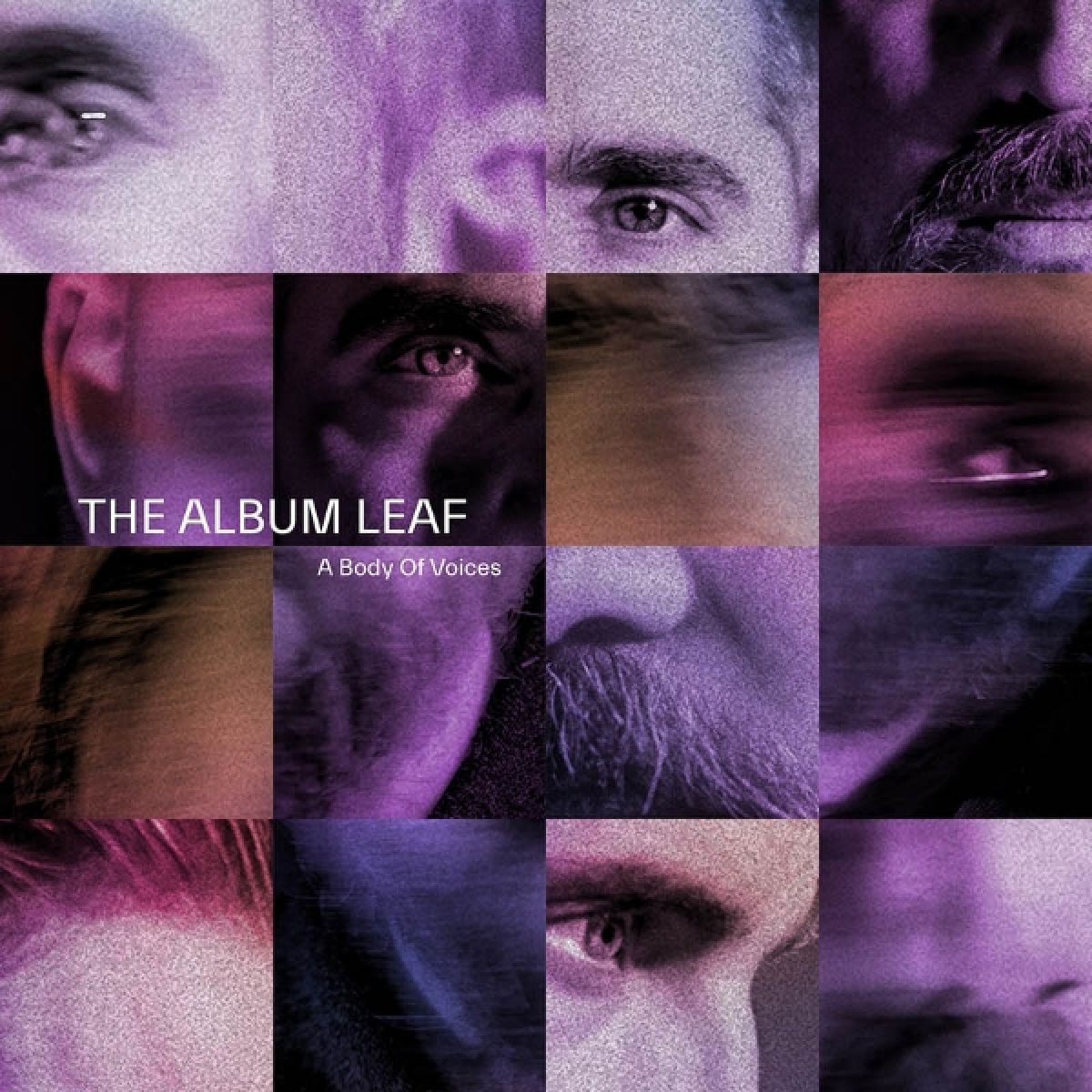 A Body Of Voices