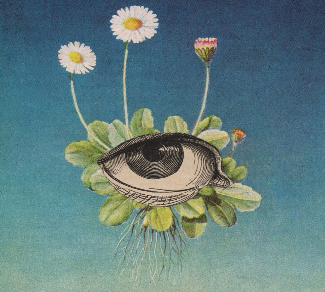 Afbeelding van øjeRum - The Limited Circle Is Pure