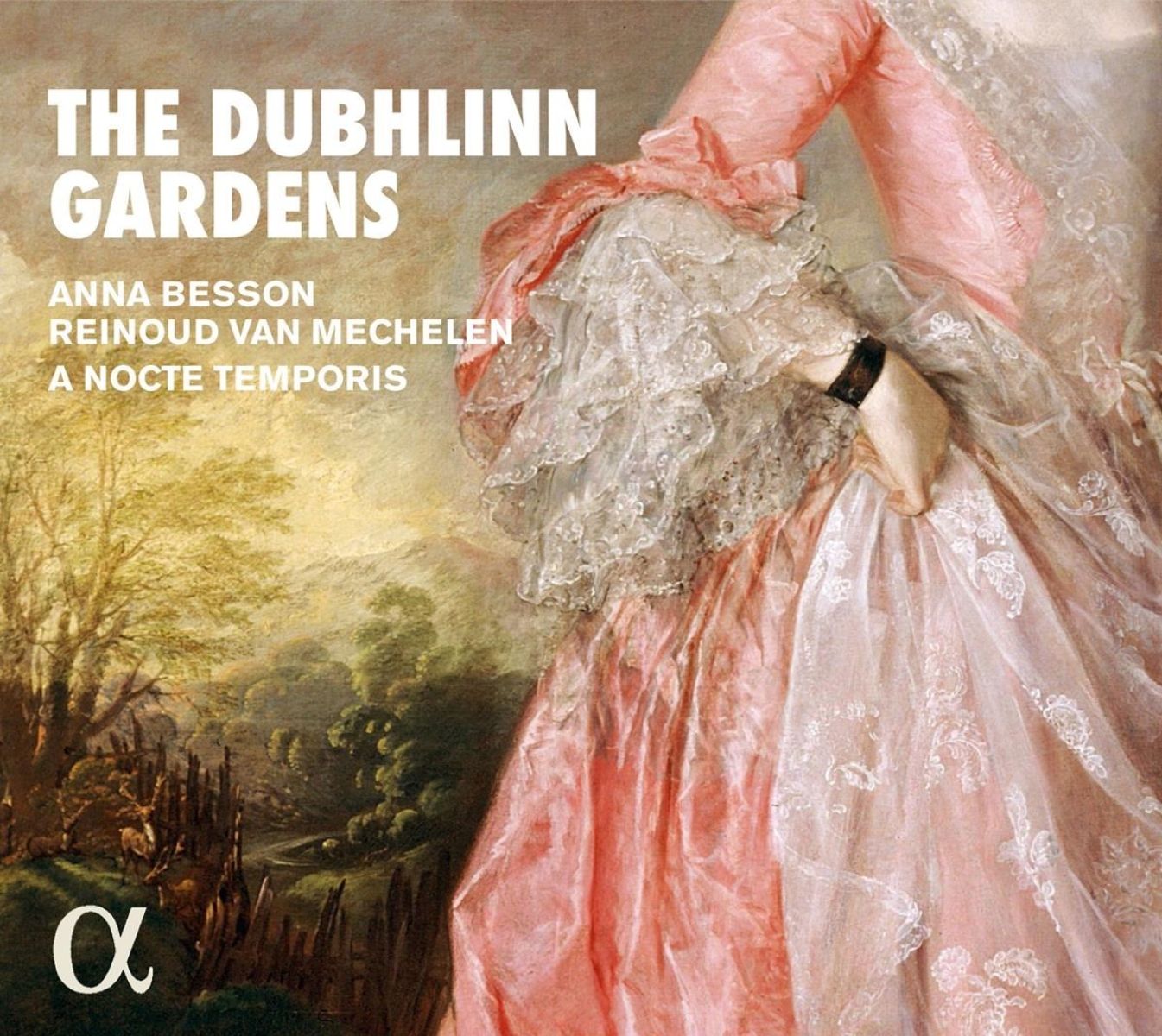 Afbeelding van Dubhlinn Gardens
