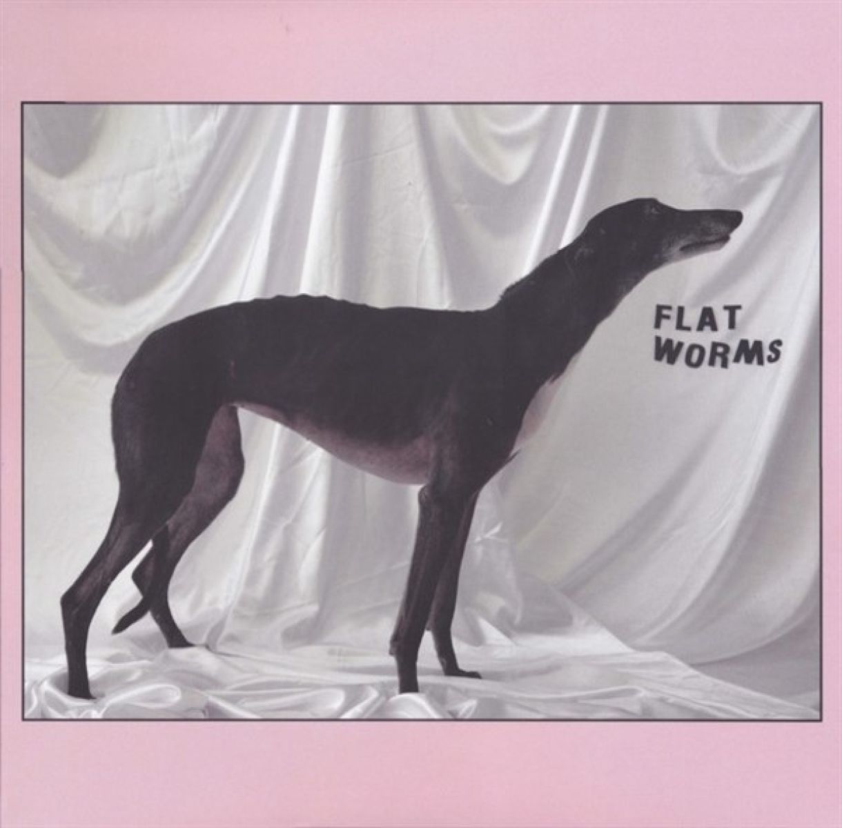 Afbeelding van Flat Worms - Flat Worms
