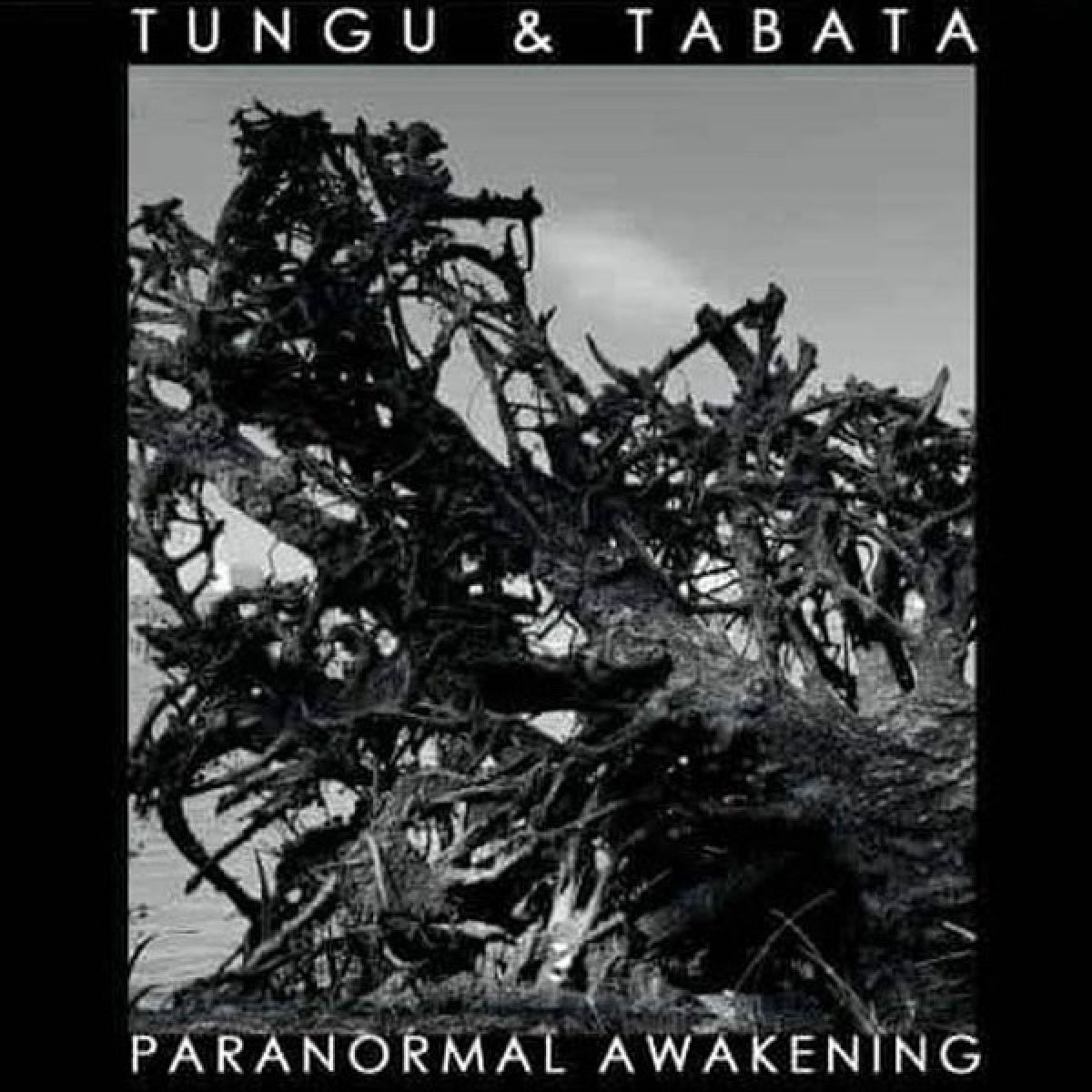 Afbeelding van Tungu & Tabata - Paranormal Awakening