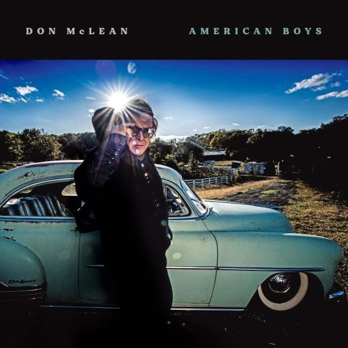 Afbeelding van Don McLean - American Boys