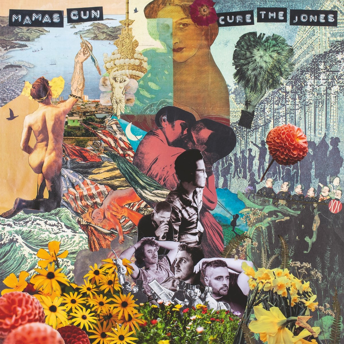 Afbeelding van Mamas Gun - Cure The Jones