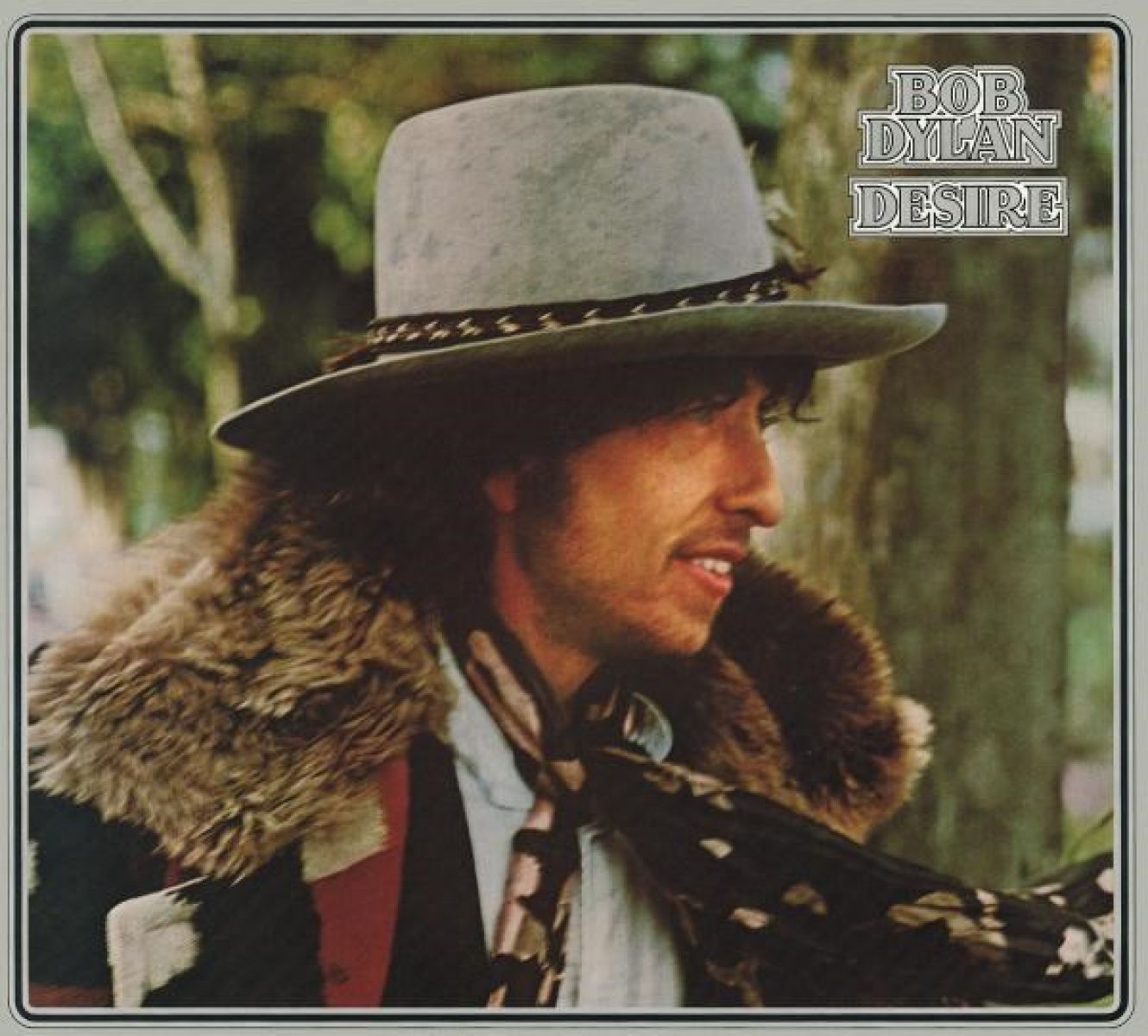 Afbeelding van Bob Dylan - Desire