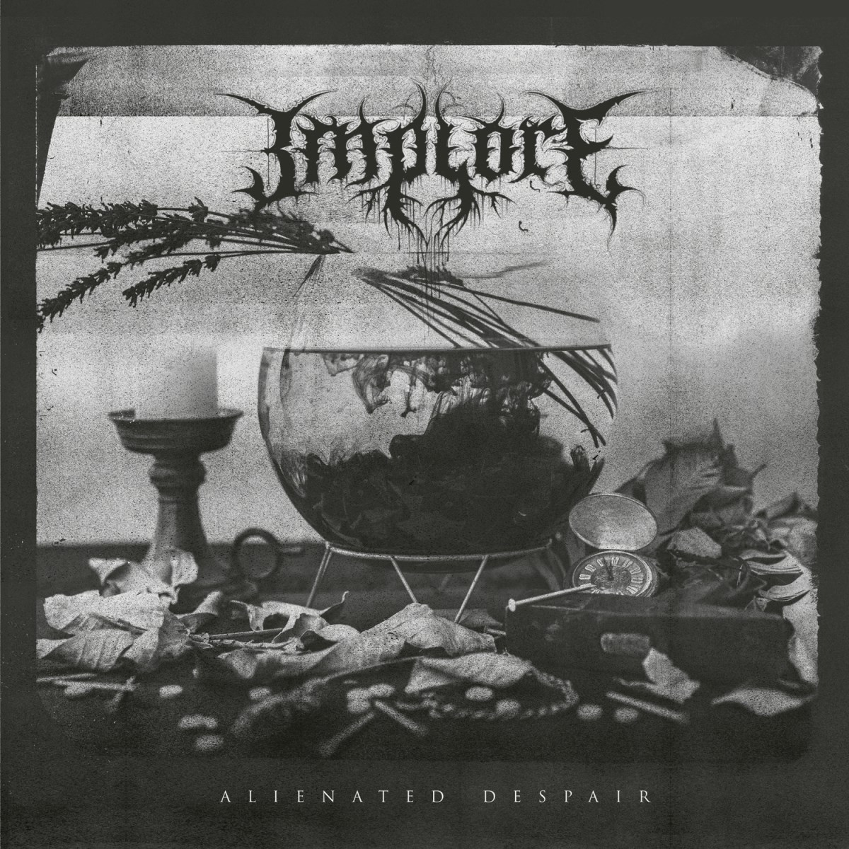 Afbeelding van Implore - Alienated Despair