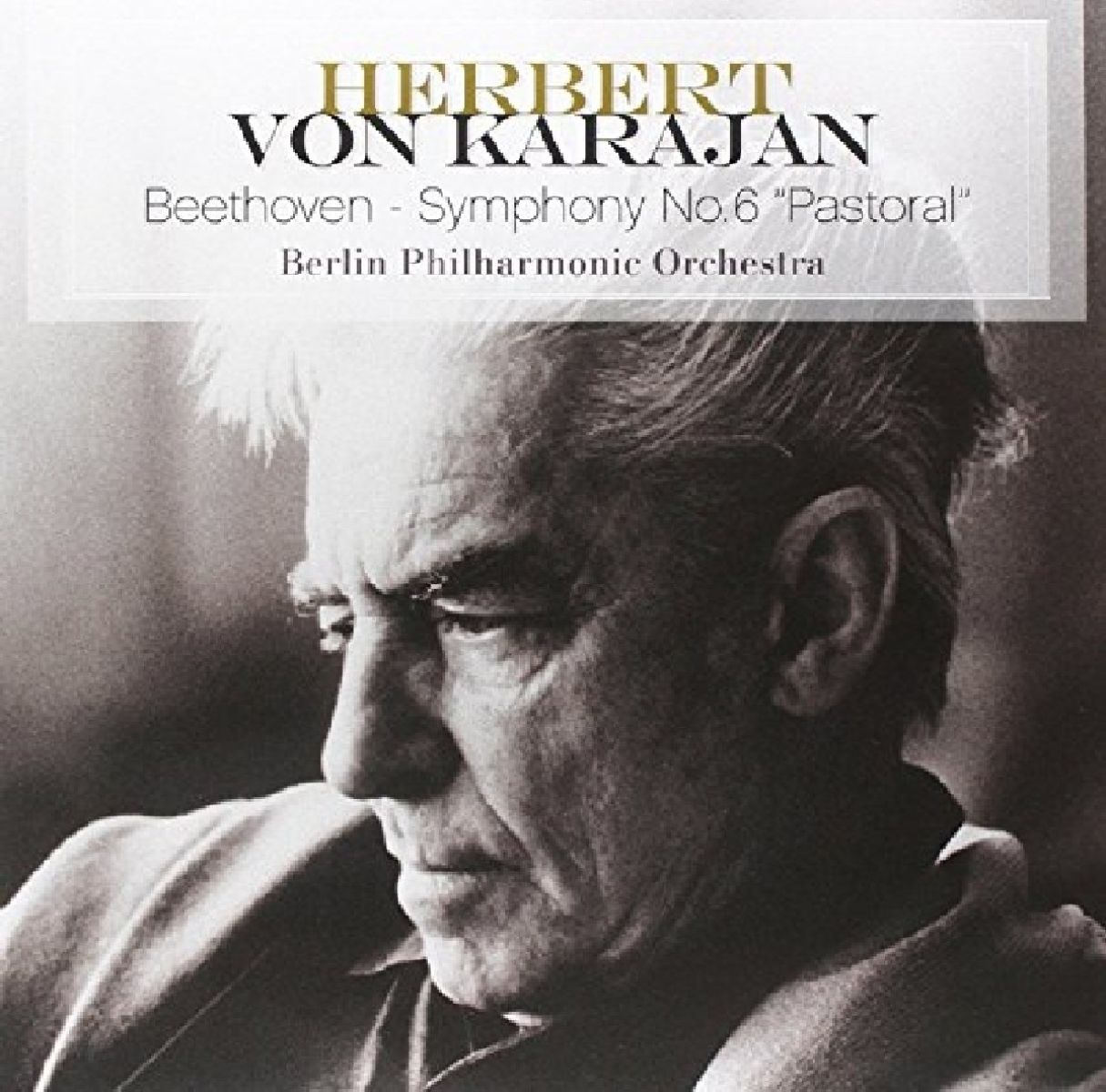 Afbeelding van Symphony No.6 Pastoral