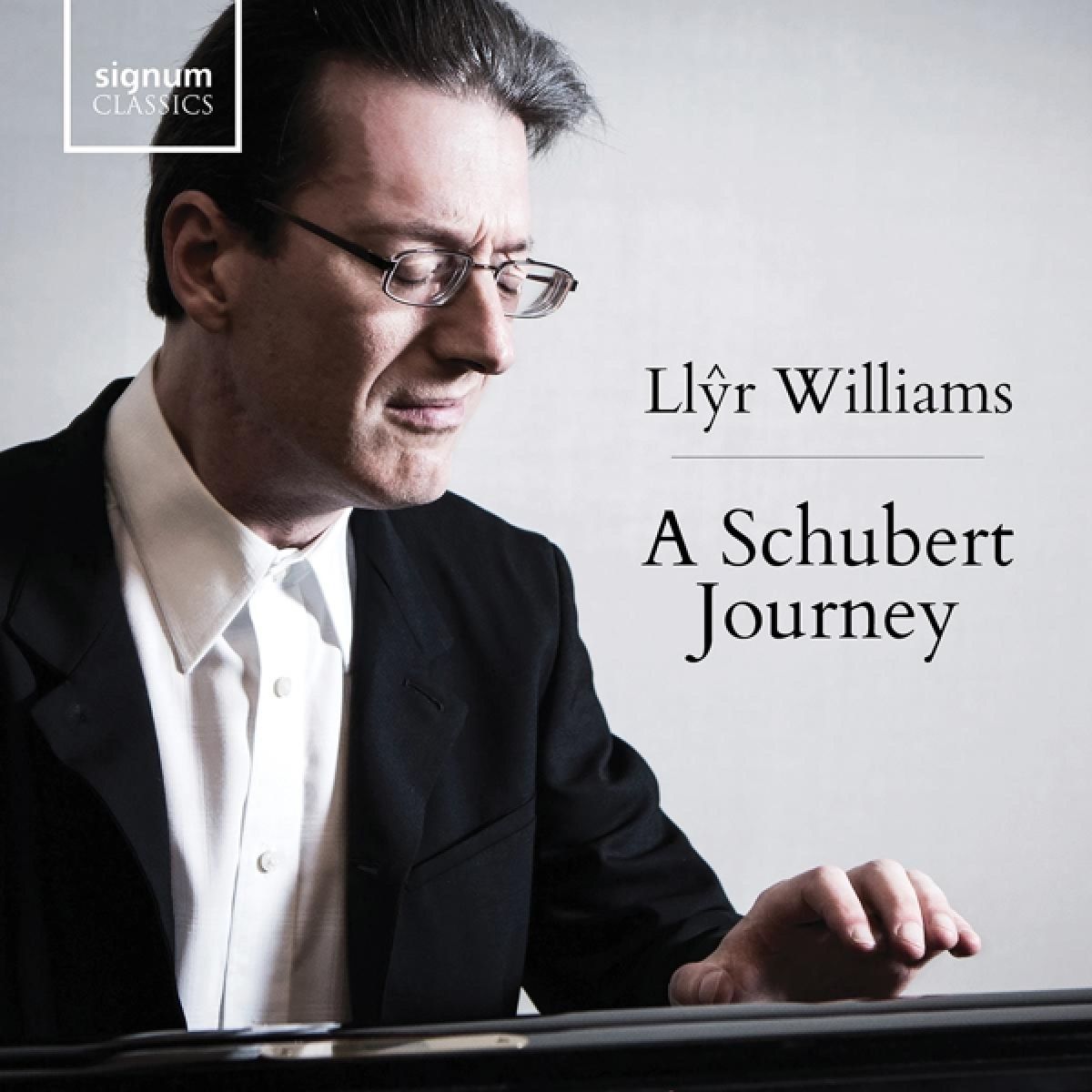 Afbeelding van A Schubert Journey