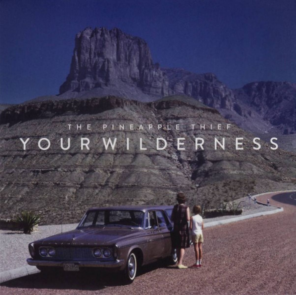Afbeelding van The Pineapple Thief - Your Wilderness