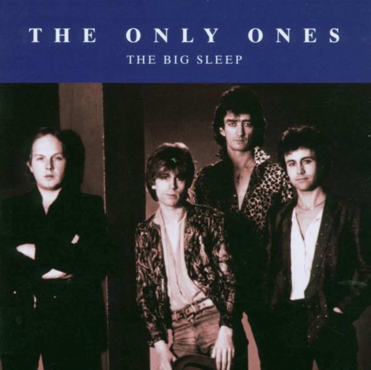 Afbeelding van Big Sleep
