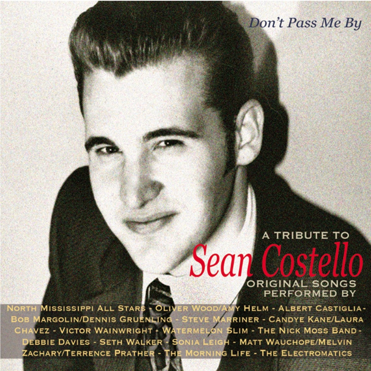 Afbeelding van Various Artists - Don't Pass Me By (A Tribute To Sean Costello)