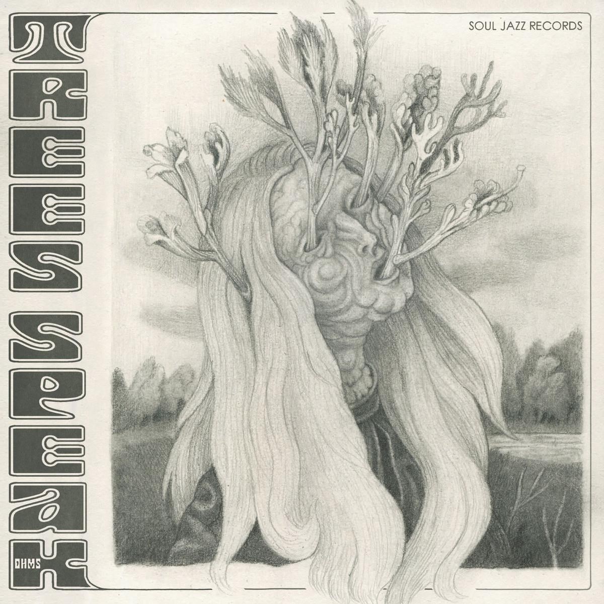 Afbeelding van Trees Speak - Ohms
