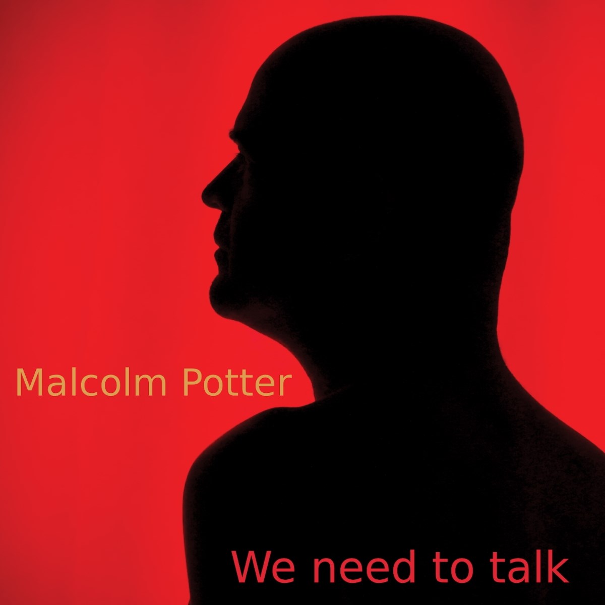 Afbeelding van Malcolm Potter - We Need To Talk