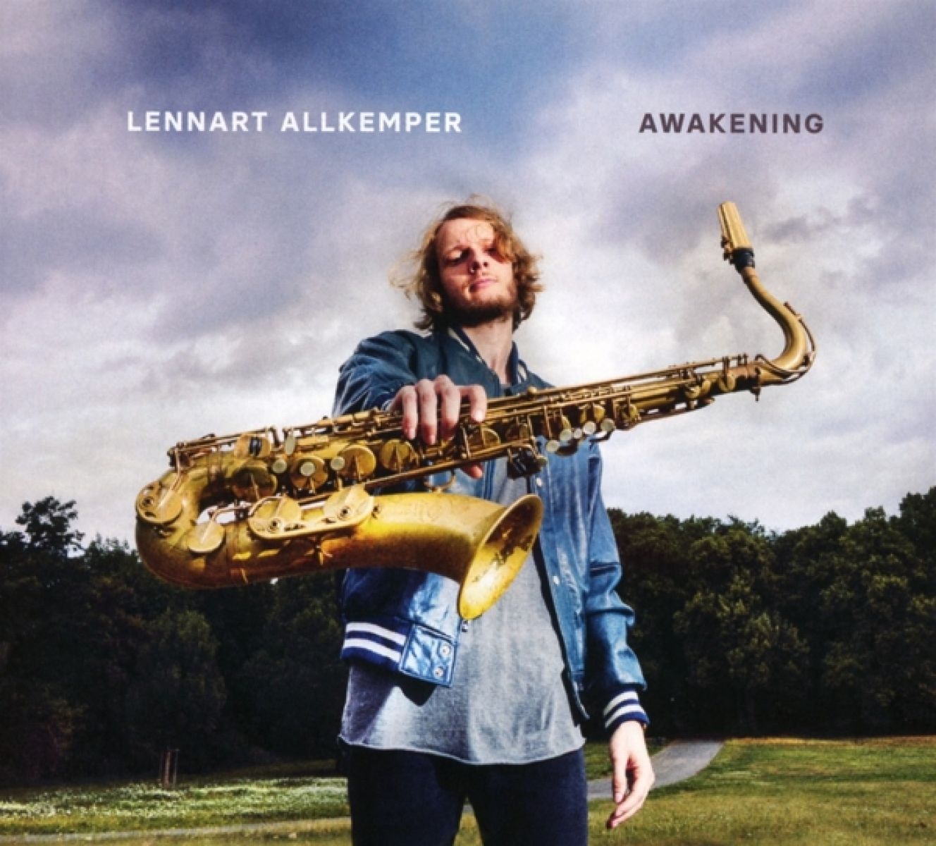 Afbeelding van Lennart Allkemper - Awakening