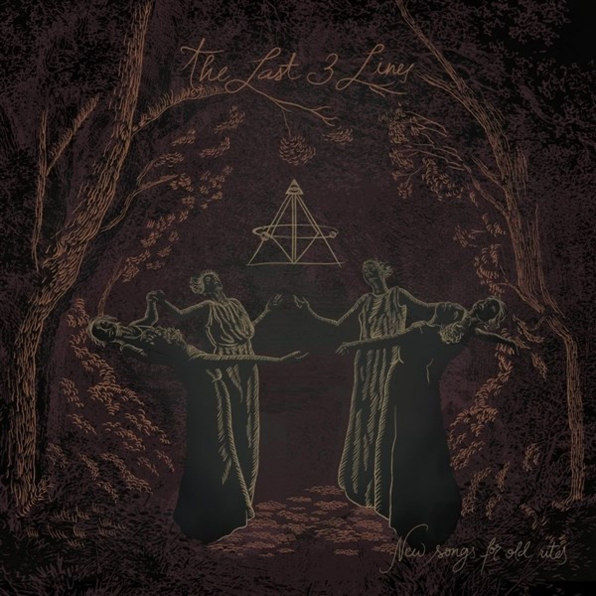 Afbeelding van The Last 3 Lines - New Songs For Old Rites