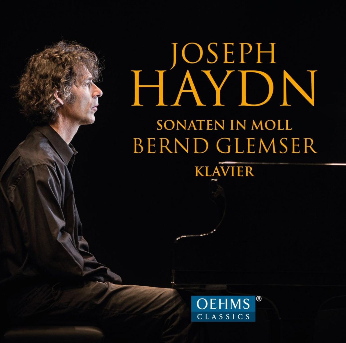 Afbeelding van Bernd Glemser - Sonatas In Minor Keys By Joseph Haydn