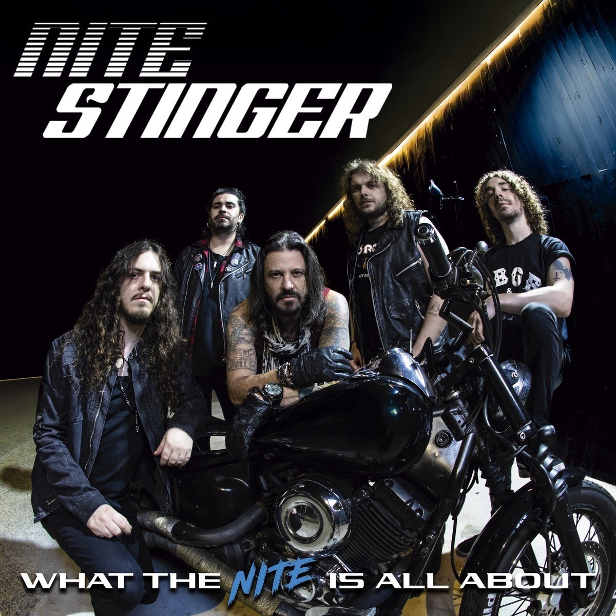 Afbeelding van Nite Stinger - What The Nite Is All About