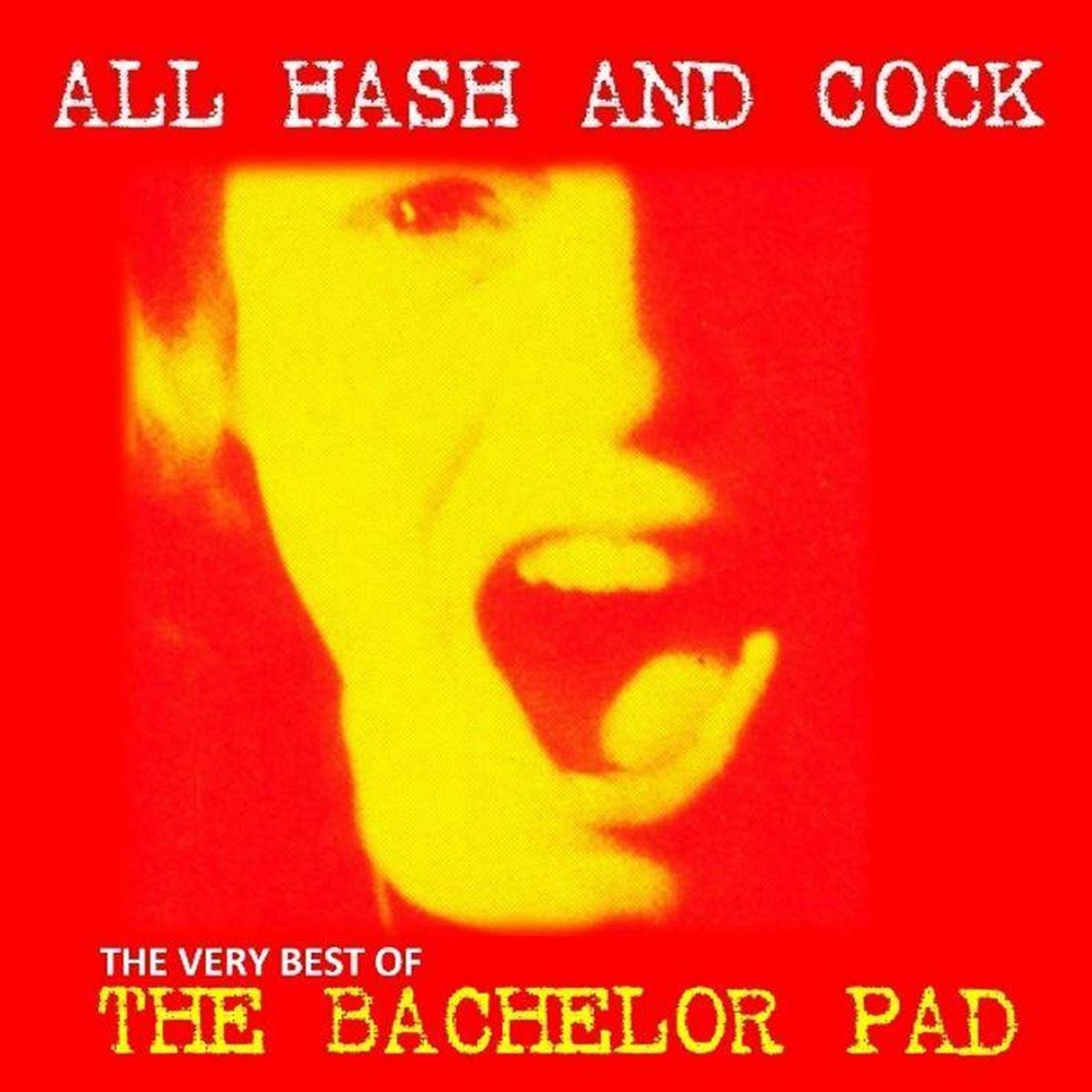 Afbeelding van Bachelor Pad - All Hash And Cock (The Very Best Of The Bachelor Pad)