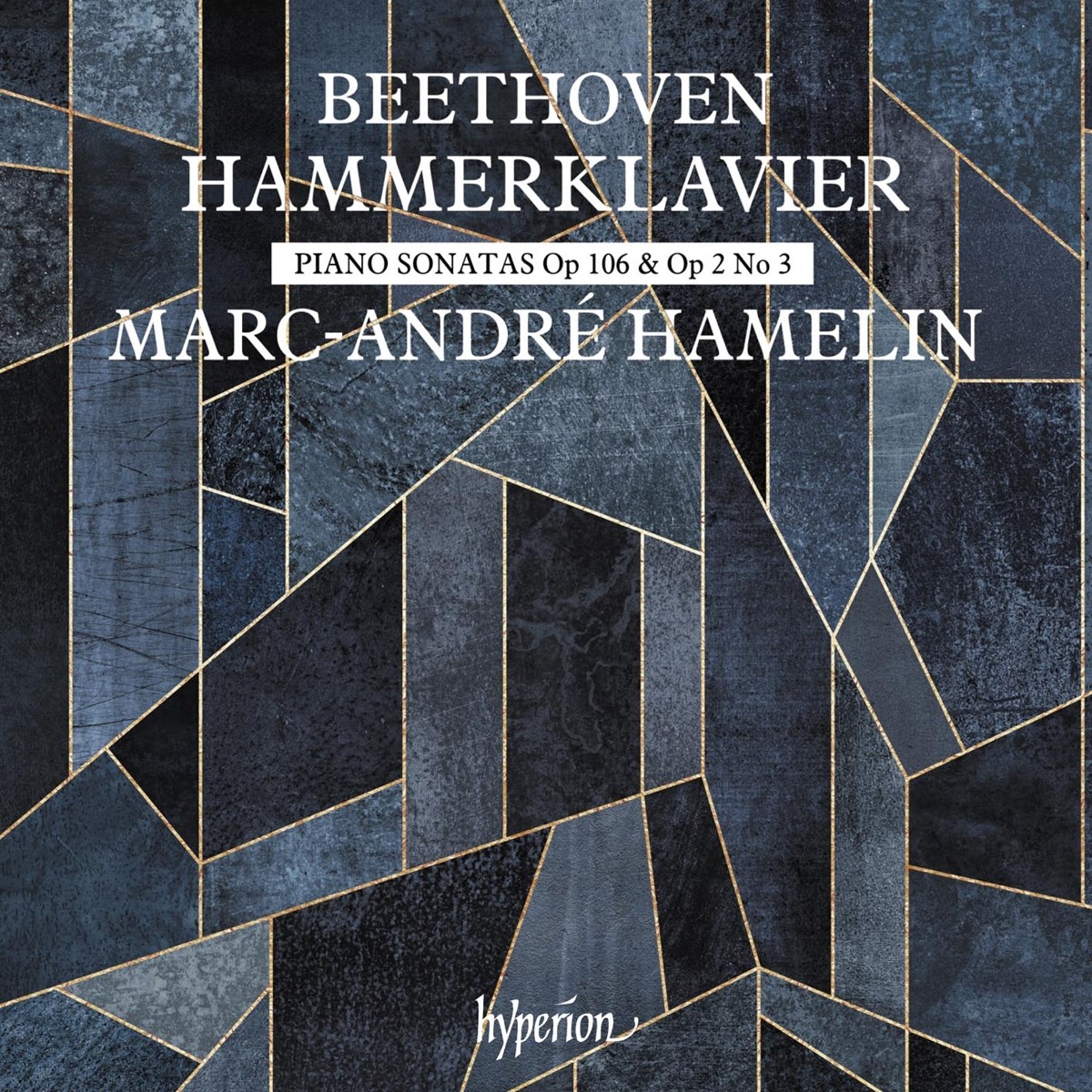 Afbeelding van Marc-André Hamelin - Beethoven: Hammerklavier