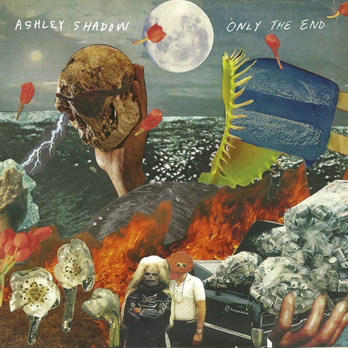 Afbeelding van Ashley Shadow - Only The End