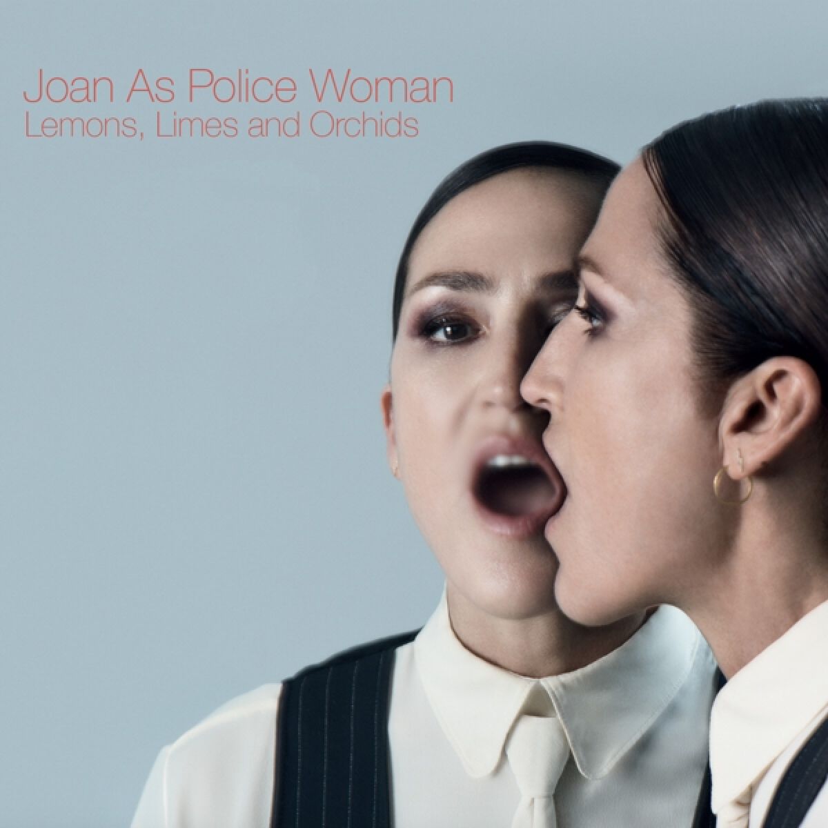 Afbeelding van Joan As Police Woman - Lemons Limes And Orchids