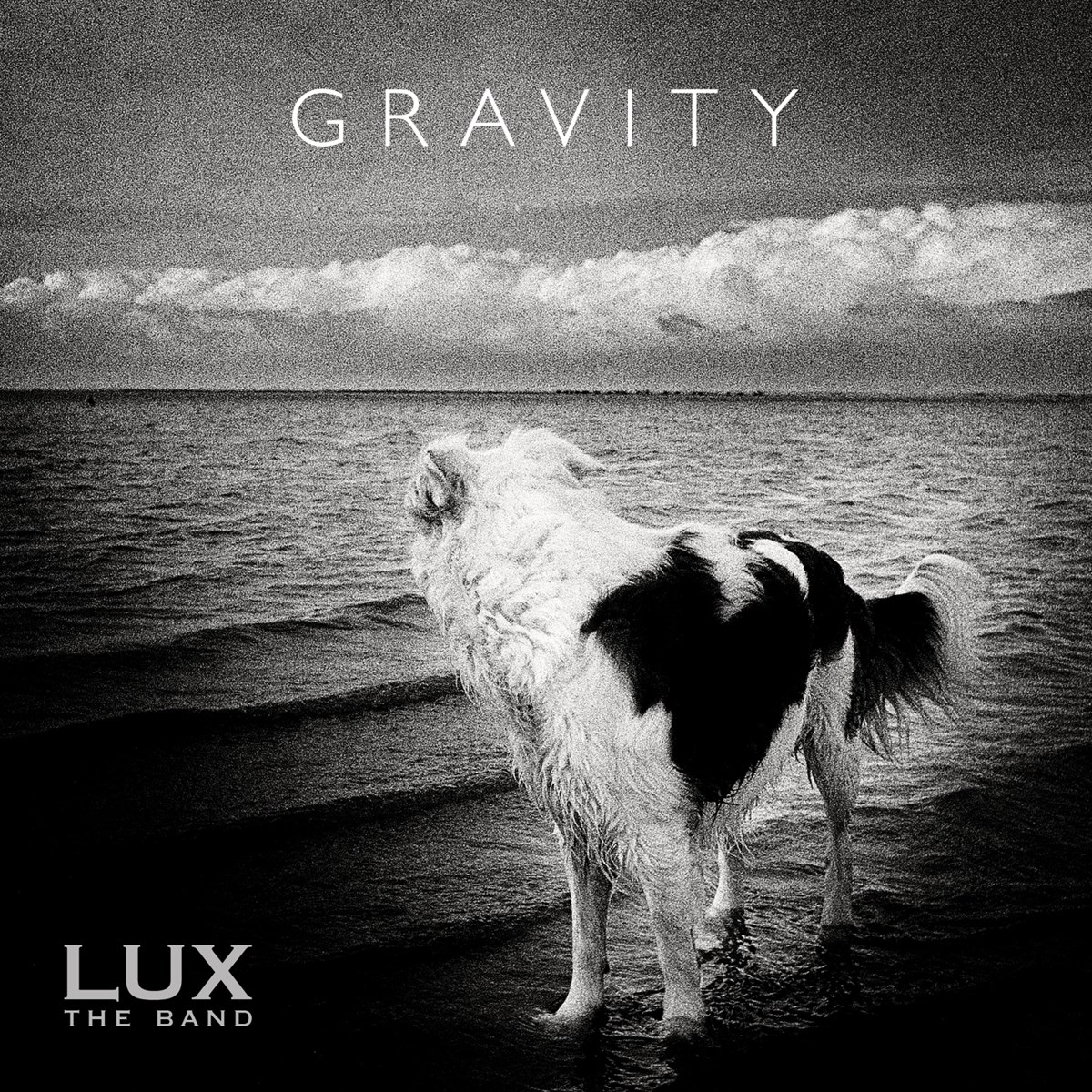 Afbeelding van Lux The Band - Gravity
