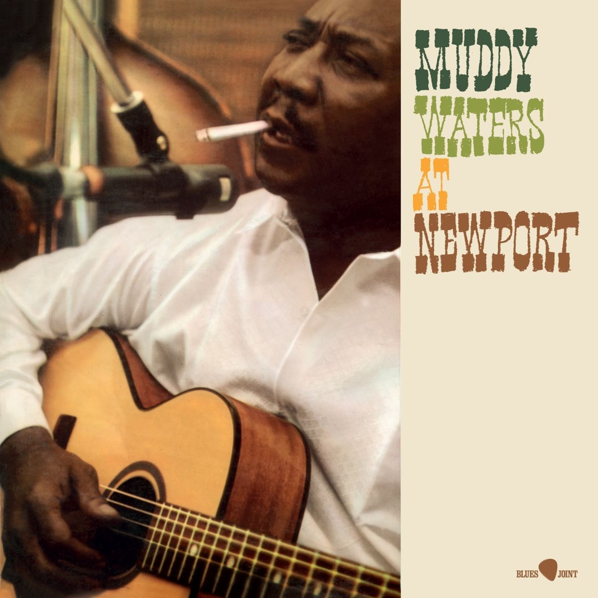 Afbeelding van Muddy Waters - At Newport