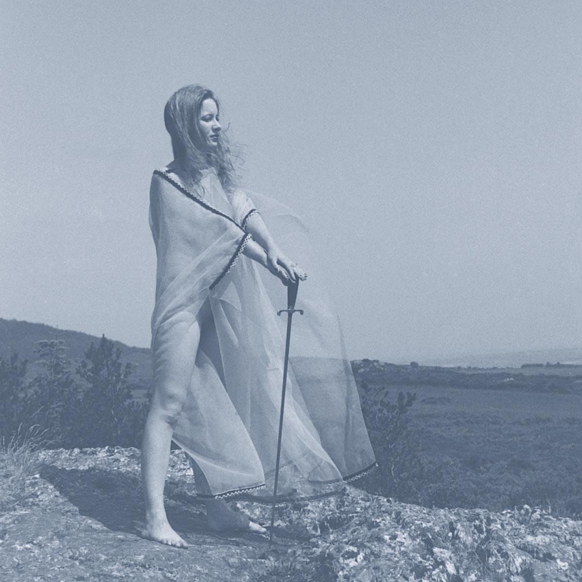 Afbeelding van Unknown Mortal Orchestra - Blue Record