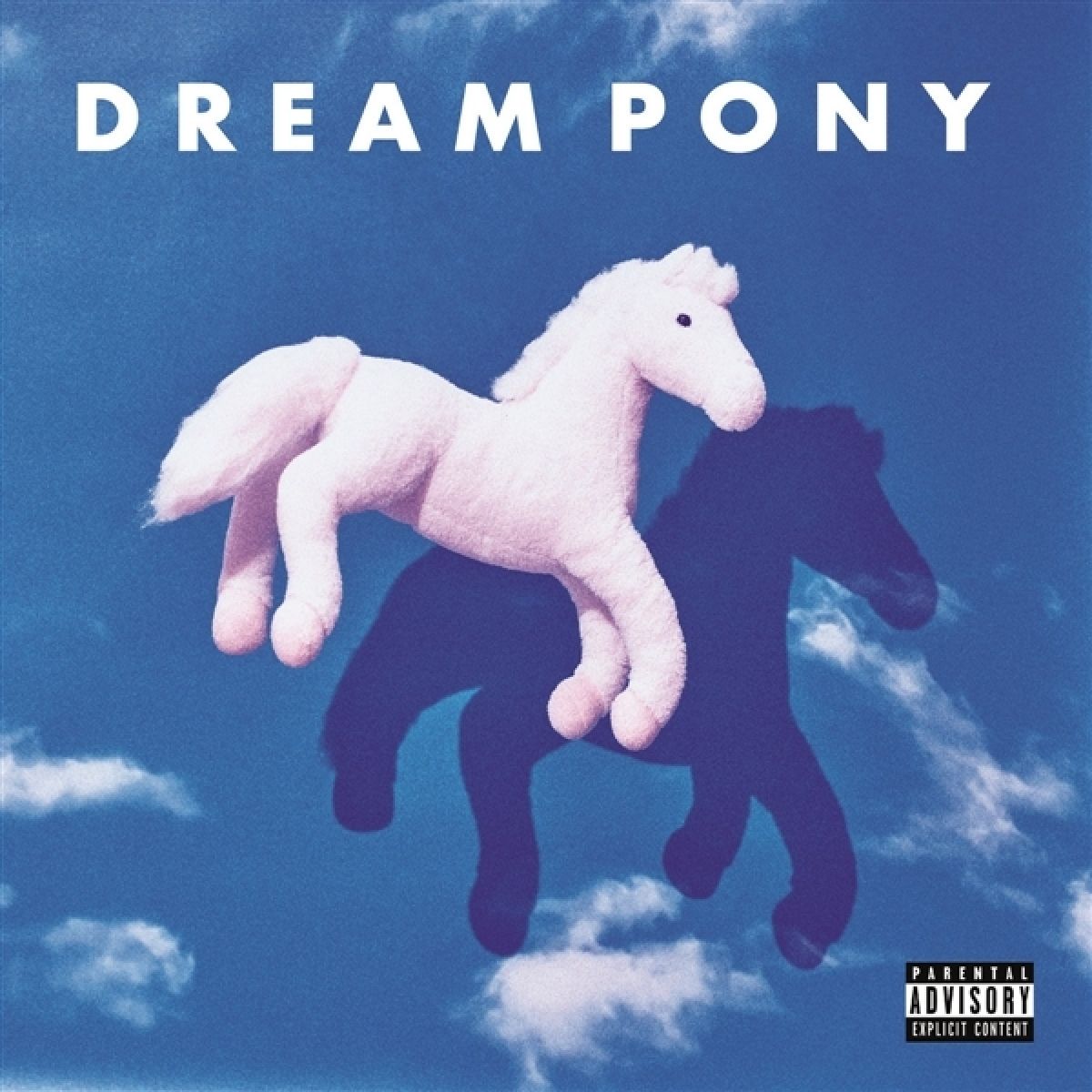Afbeelding van Dream Pony - Suspicion Today