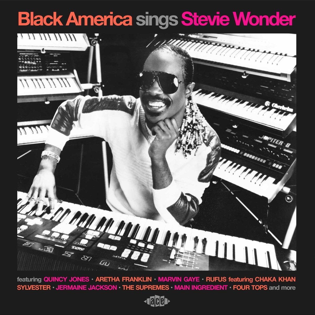Afbeelding van Black America Sings Stevie Wonder
