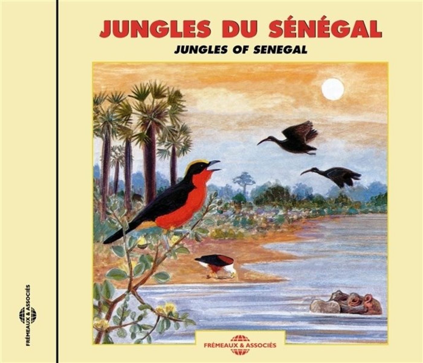 Sound Effects & Birds - Jungles Of Sénégal